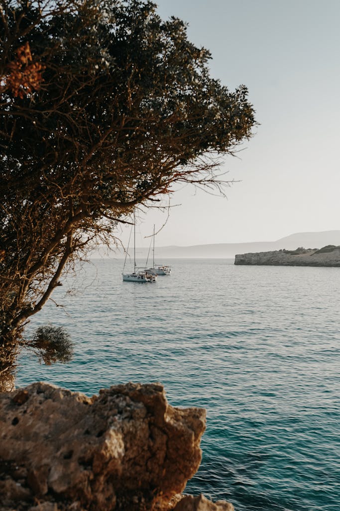 A Sail Boat on a Sea